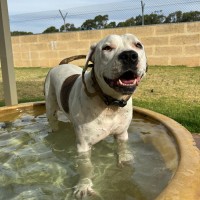 Photo of Holly