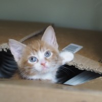 Photo of Kenny 