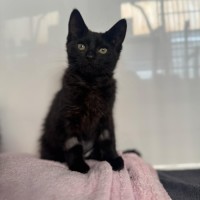 Photo of Betty   In Foster Care In Ashburton