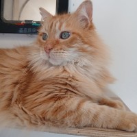 Photo of C1601 Rusty