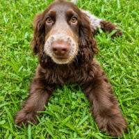 Photo of Monty
