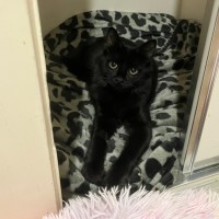 Photo of Barrington