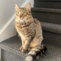 Photo of Totopo
