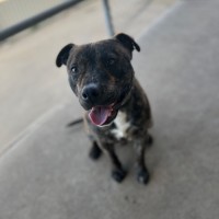 Photo of Frankie