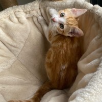 Photo of Maddox & Maverick