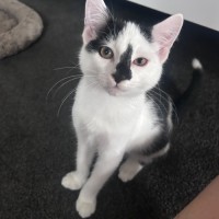 Photo of Skittles 🌈