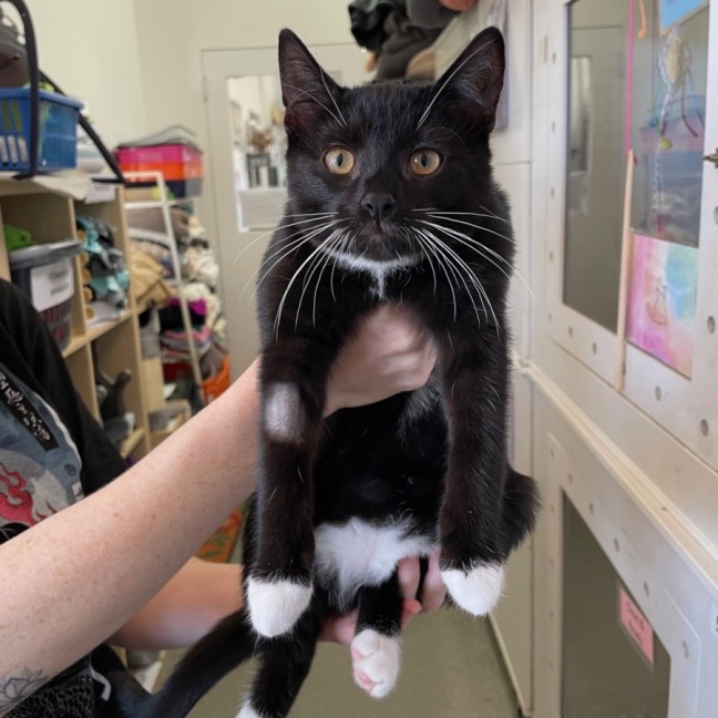 Photo of Parks *Meet Me At Petstock Milperra*