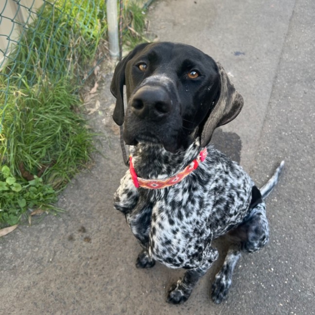 Photo of Murphy