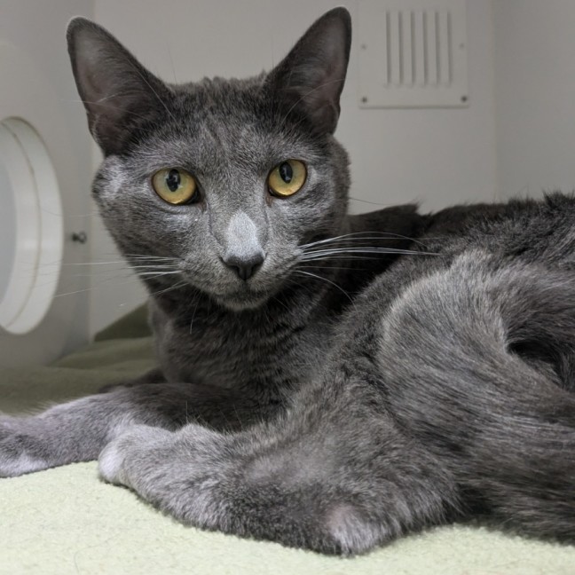 Photo of 🐻 Bear 5698 🐻