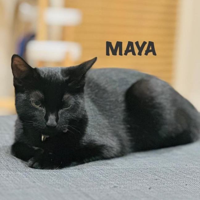 Photo of Maya