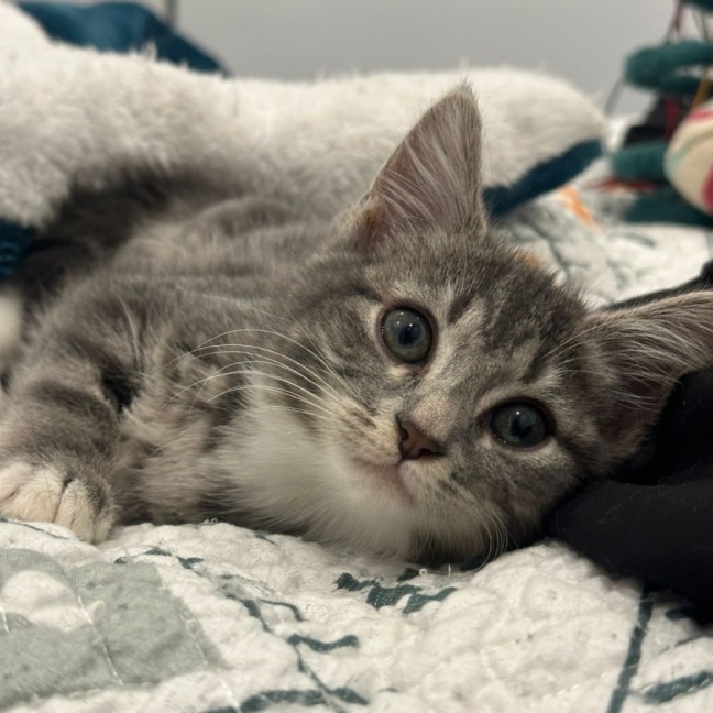 Photo of Meredith Grey