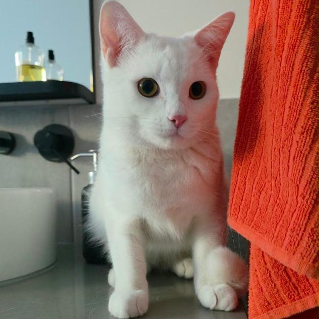 Photo of Olaf