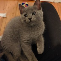 Photo of Sammy