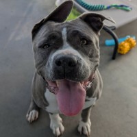 Photo of Suzie