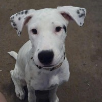 Photo of Maya