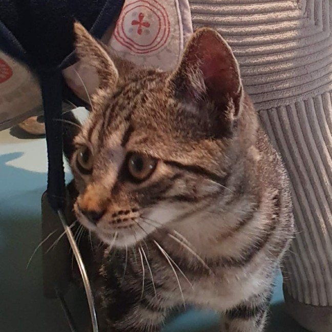 Photo of Tabitha