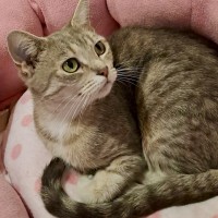 Photo of Annie