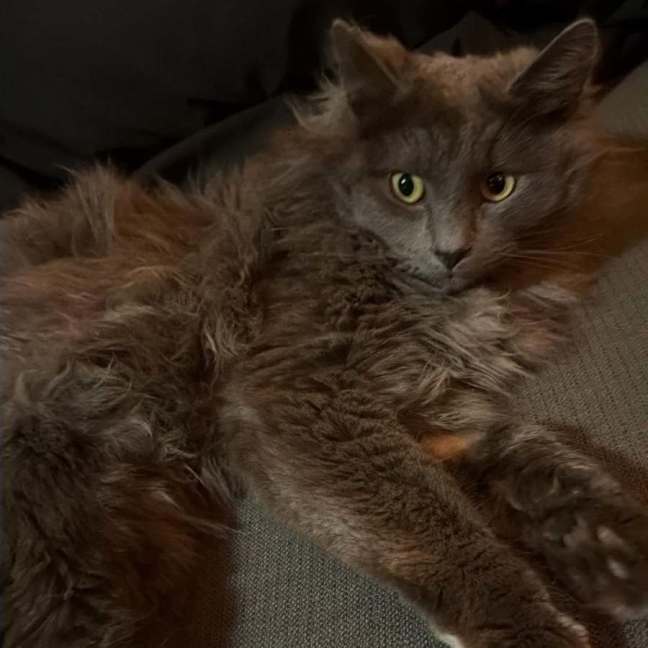 Photo of Dennis