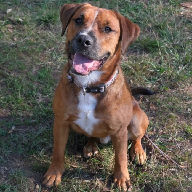 Photo of Percy