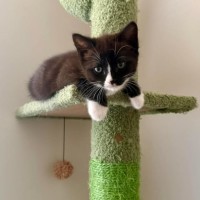 Photo of Peppermint Patty