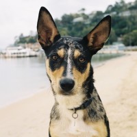 Photo of Sinny