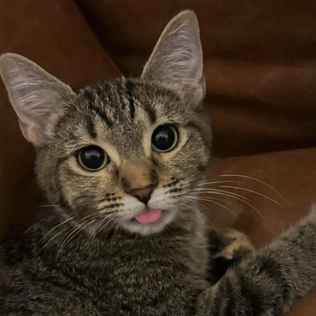 Photo of Nadia & Mishka 