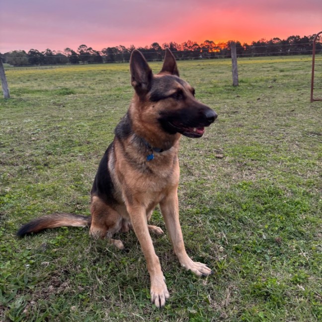 Photo of Max