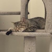 Photo of Marlyn