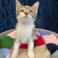 Photo of Flossie
