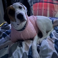 Photo of Dakota