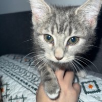 Photo of Meredith Grey