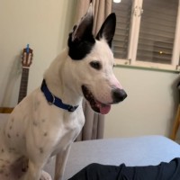 Photo of Zeke