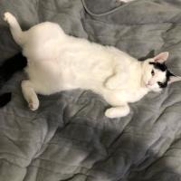 Photo of Jake & Jasper 💙