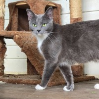 Photo of Holly