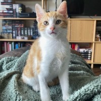 Photo of Maddox & Maverick