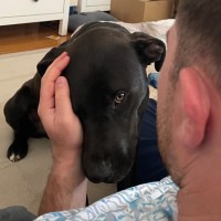 Photo of Chalamet