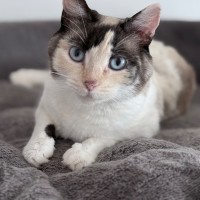 Photo of Helena 🌹🌹🌹