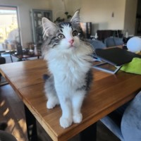 Photo of Breeze