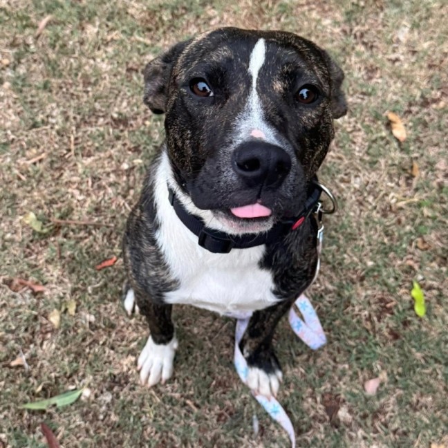 Photo of Betsy