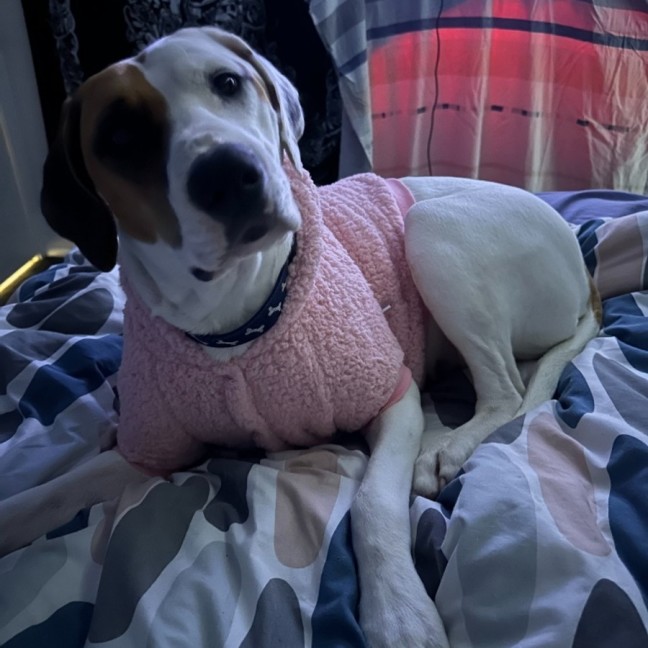 Photo of Dakota