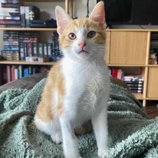 Photo of Maddox & Maverick