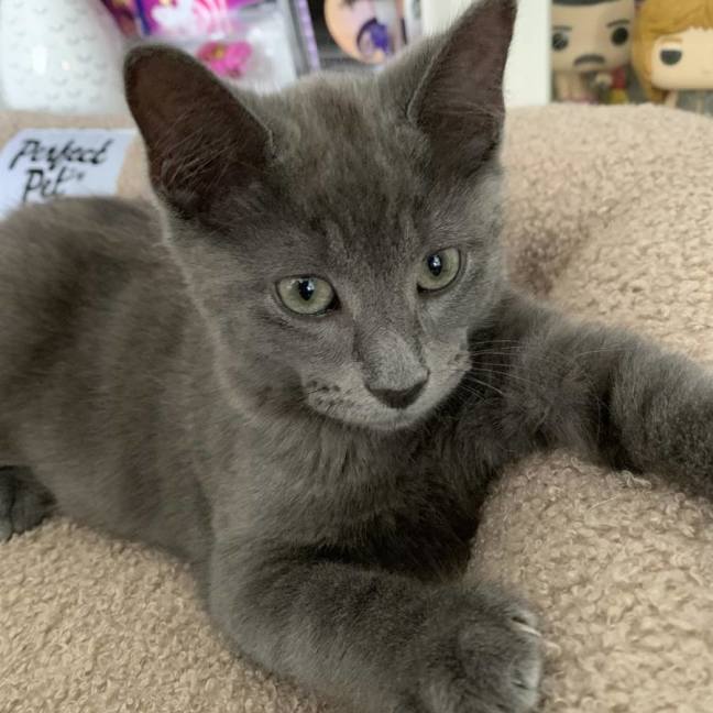 Photo of 💙 Ash 💙