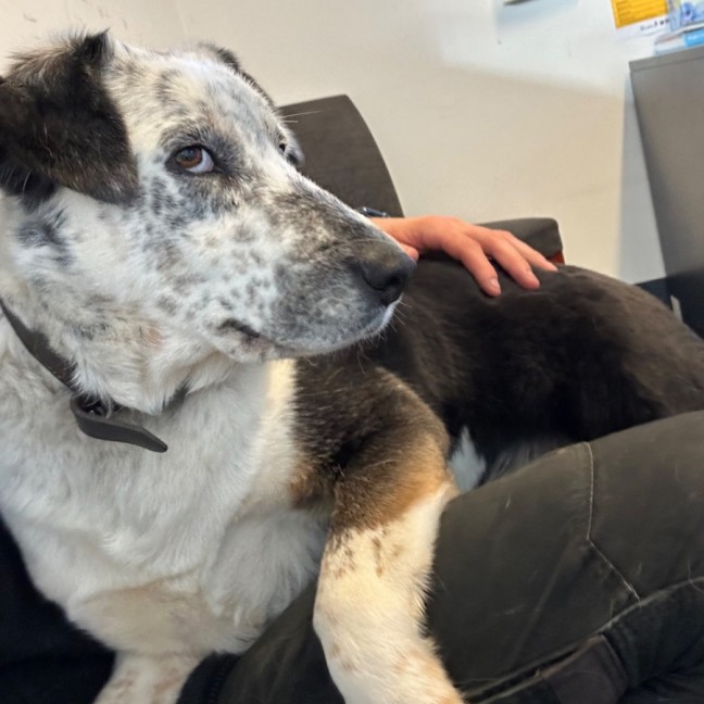 Photo of Kung Fu Panda 