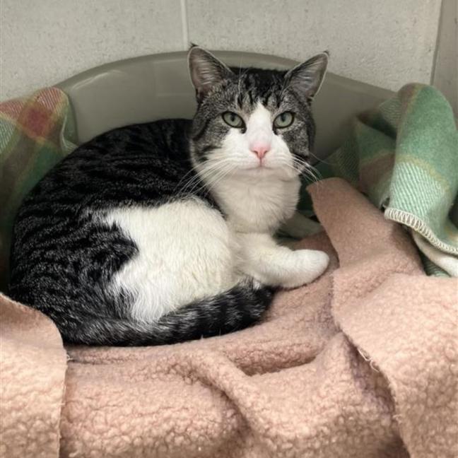 Photo of Sir Richard