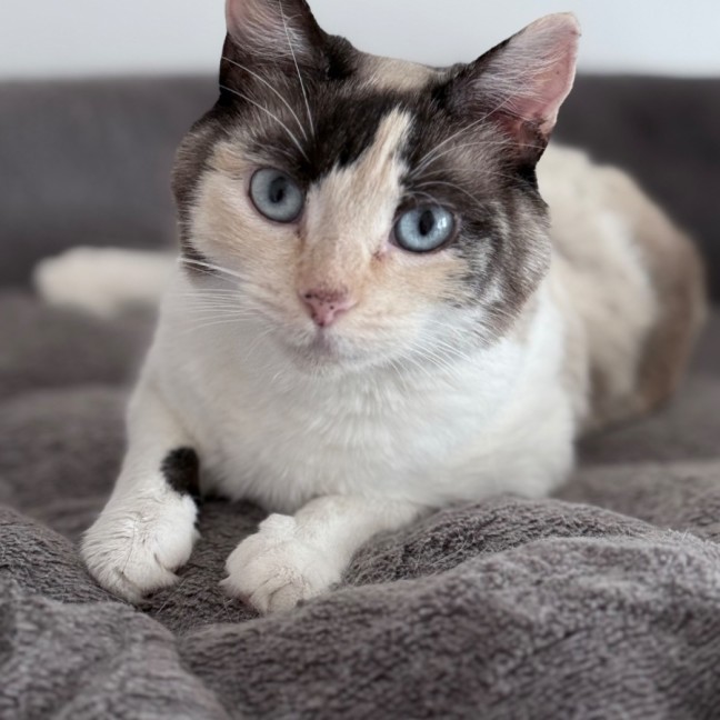 Photo of Helena 🌹🌹🌹