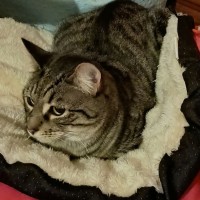 Photo of Lex 