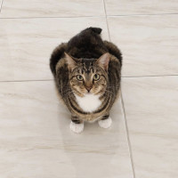Photo of Nellie