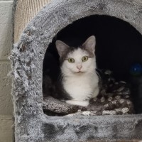 Photo of Lola