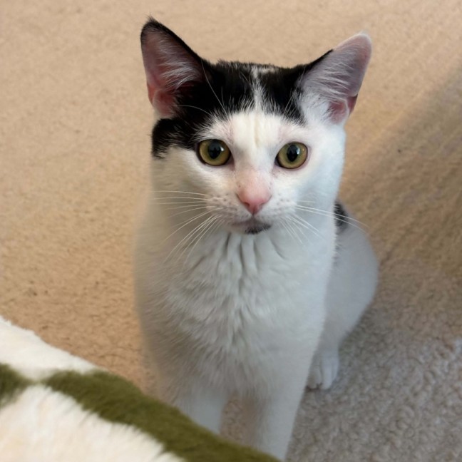 Photo of Gus
