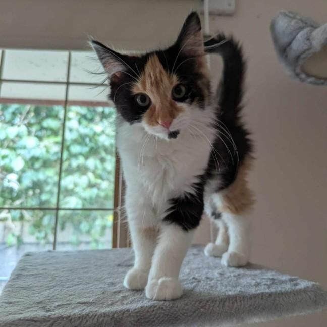 Photo of Wilma Flintstone 